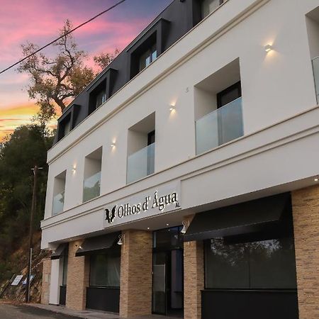 Alojamento Local Olhos D'Agua Villa Alcanena Dış mekan fotoğraf