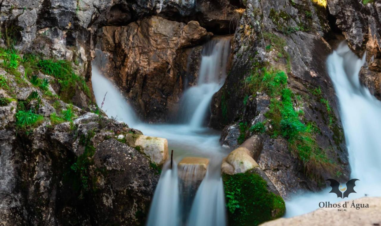 Alojamento Local Olhos D'Agua Villa Alcanena Dış mekan fotoğraf